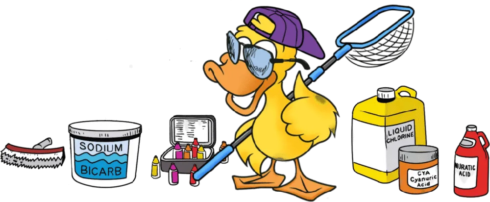 Lucky the duck floating in a pool