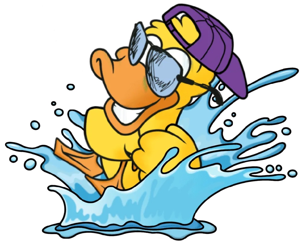 Lucky the duck making a splash