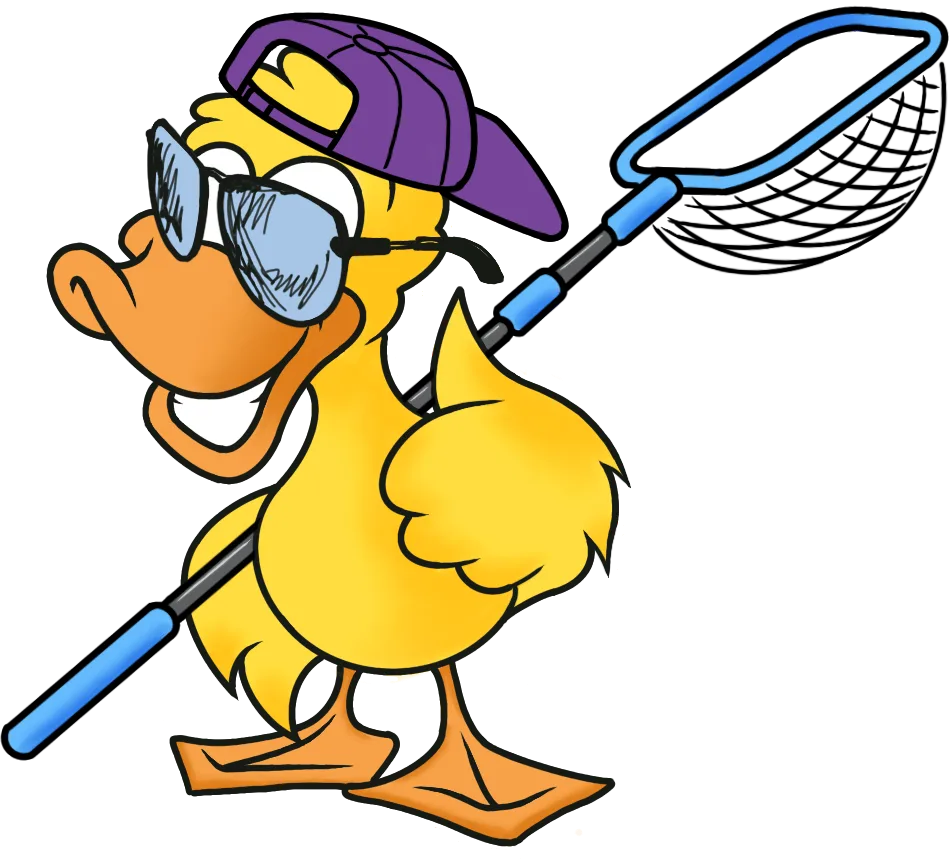 Lucky the duck holding a pool skimmer net