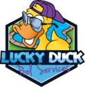 Lucky Duck Pools - Spring and The Woodlands