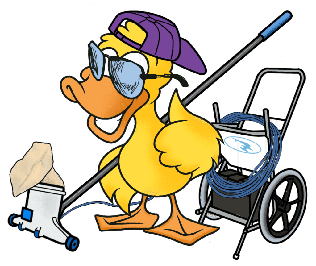Hammerhead - Lucky Duck Pool Service